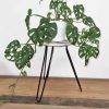 flat packed saves space when stored or not in use.Let your customers create little Indonesian plant corner and order today!Plant Stand Sizes:  H: 37cm  Wooden base: D: 25cm H: 2cm