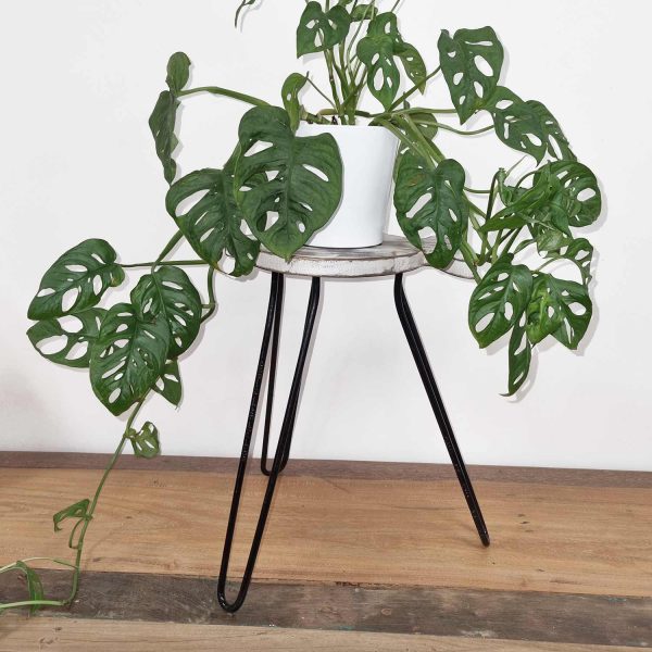 flat packed saves space when stored or not in use.Let your customers create little Indonesian plant corner and order today!Plant Stand Sizes:  H: 37cm  Wooden base: D: 25cm H: 2cm