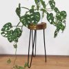 flat packed saves space when stored or not in use.Let your customers create little Indonesian plant corner and order today!Plant Stand Sizes:  H: 43cm  Wooden base: D: 19cm H: 5cm