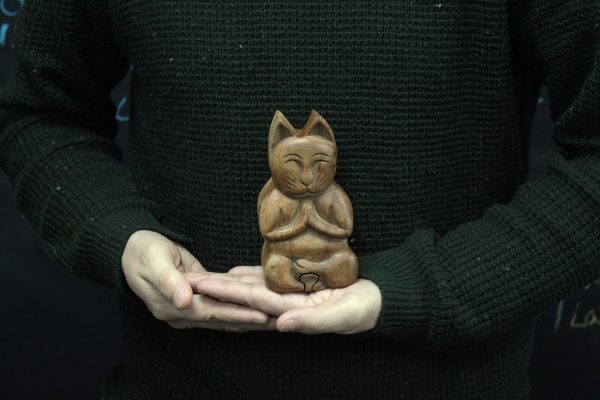 the added novelty value makes it an easy sale. Would make a great gift for both kids and adults. Order today to get this incredibly unique Bali Magic Box. 