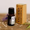 Energising Essential Oil Blend - Boxed - 10ml - Image 4
