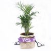 Natural Jute Cotton Gift Bag - Lavender Lining - Medium - Image 7