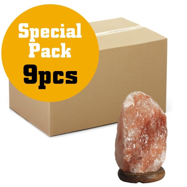 Quality Salt Lamp Bulk 2-3kg EU Cable