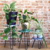 they stand on hairpin legs with a solid wood top. These stands look great on their own or tiered into groups and are also very useful as side or occasional tables. The hairpin legs are polished with black Iron paste to give that smooth finish