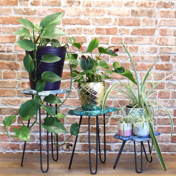 which makes them sturdy and lightweight.Wooden Plant Stands comes in whitewash