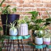 green and natural colours. These beautiful colours give a distressed finish and will give bigger choice to your customers