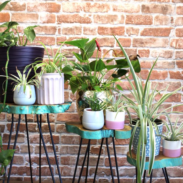 flat packed to save space when stored or not in use.These stands requires some basic assembly.These stands should not be used as stools.Approximate dimensions:  - The stand tops come in a range of 3 sizes as standard - 22cm