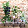 green and natural colours. These beautiful colours give a distressed finish and will give a bigger choice to your customers