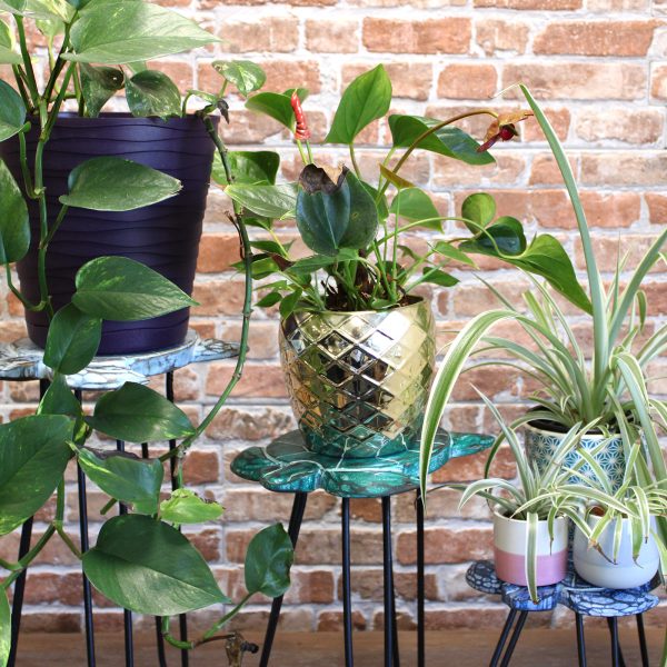 flat packed to save space when stored or not in use.These stands requires some basic assembly.These stands should not be used as stools.Approximate dimensions:  - The stand tops come in a range of 3 sizes as standard - 22cm