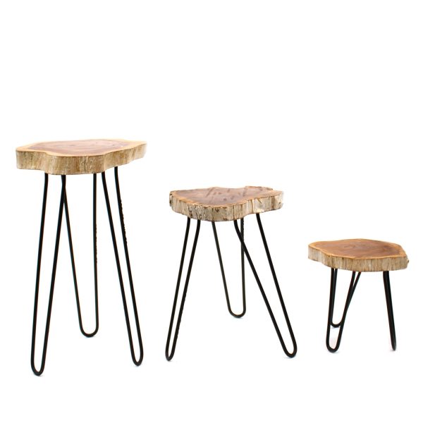 which makes them sturdy and lightweight.Wooden Plant Stands comes in whitewash