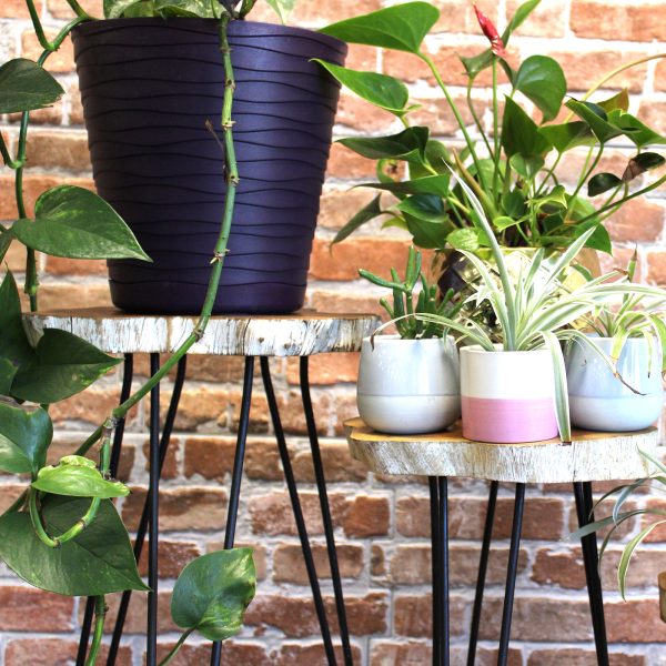 flat packed saves space when stored or not in use.These stands requires some basic assembly.These stands should not be used as stools.Approximate dimensions:  - The stand tops come in a range of 3 sizes as standard - 22cm