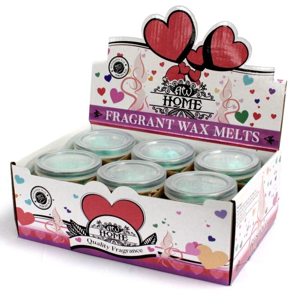 Soywax Melts Jar - Apple Spice - Image 4