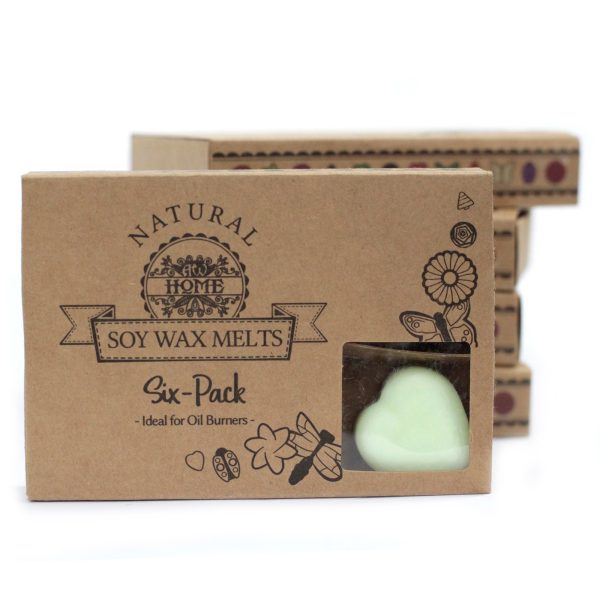 packs Wax Melts - Apple Spice - Image 4
