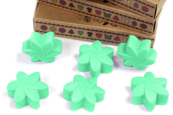 packs Wax Melts - Hidden Garden - Image 5