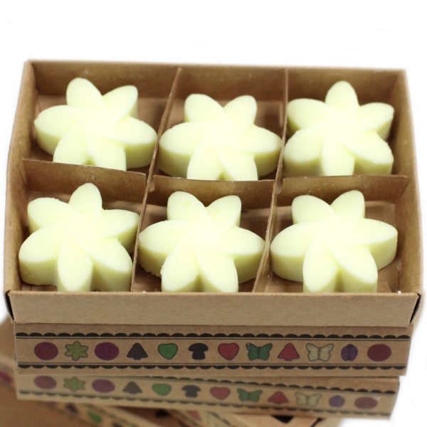 packs Wax Melts - Lemon Harvest - Image 2