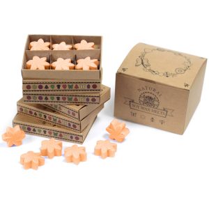 packs Wax Melts - Mango Fruits