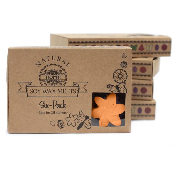 packs Wax Melts - Mango Fruits - Image 6
