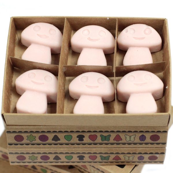 packs Wax Melts - Old Ginger - Image 2