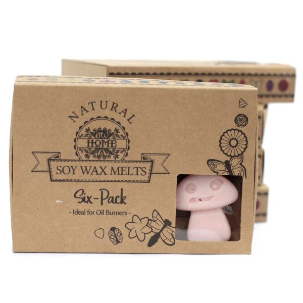 packs Wax Melts - Old Ginger - Image 5