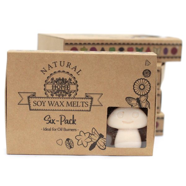 packs Wax Melts - Vanilla Nutmeg - Image 5