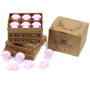 packs Wax Melts - Ylang Ylang
