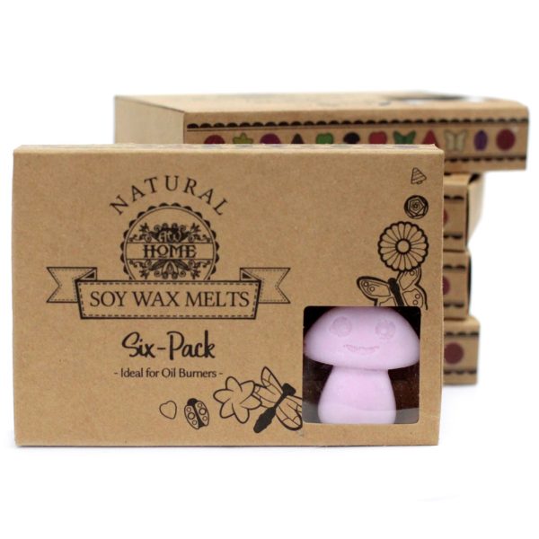 packs Wax Melts - Ylang Ylang - Image 5